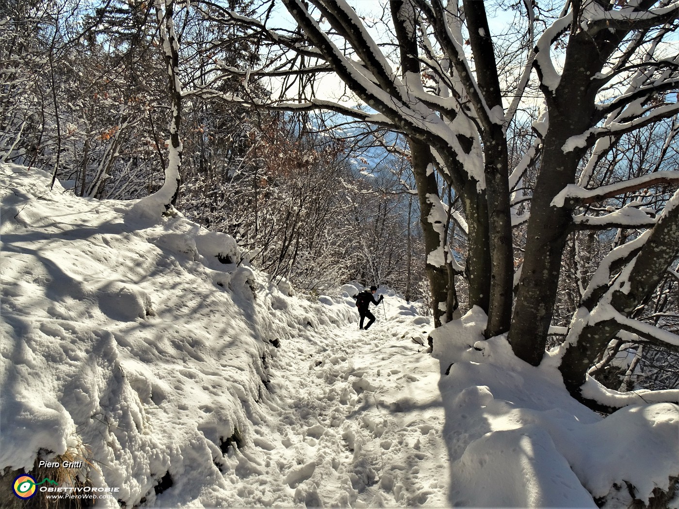 60  La neve fresca e soffice permette una facile divertente discesa.JPG